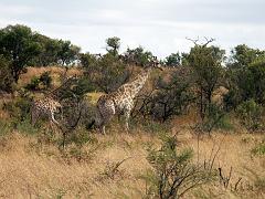 090516_Pilanesberg 064